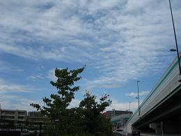 b0096080_2272522.jpg