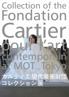 ▼都知事に見る目なし～カルチェ現代美術財団コレクション展_d0017381_23313259.jpg