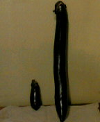 b0088100_01641.jpg