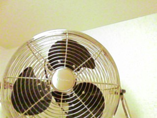f0051101_11194214.jpg