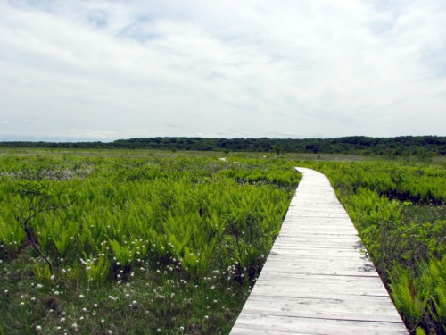 f0020302_12353670.jpg
