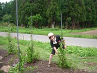 夏の新潟ワークキャンプ募集開始です！_a0080406_1463894.jpg