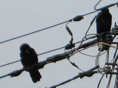 d0011713_13391344.jpg