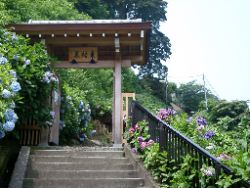 ～ 御霊神社 ～ 成就院 ～ 極楽寺_e0021121_93642.jpg