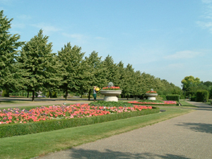 d0006422_45348.jpg