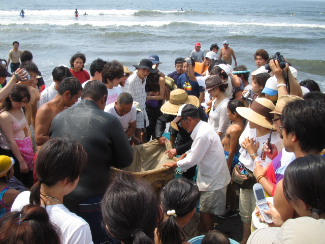 c0007525_411369.jpg