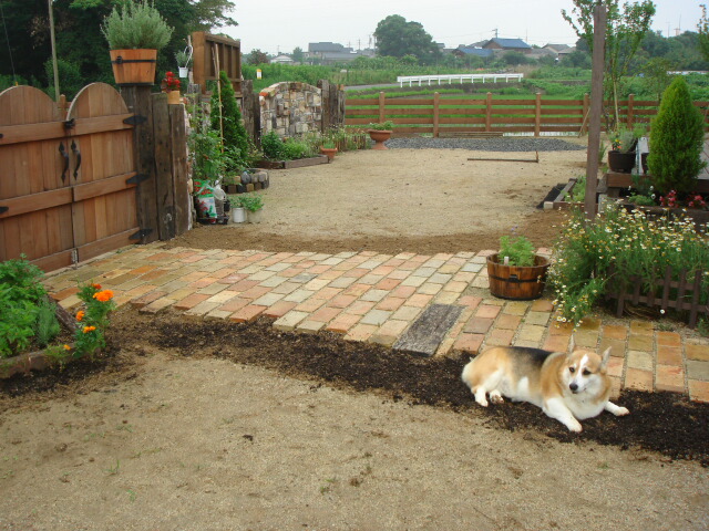 ついに植えた牧草。。。_e0001531_1747134.jpg