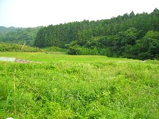 f0043036_0544275.jpg