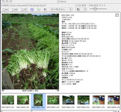 晴耕雨ビデオ_c0063348_645637.jpg