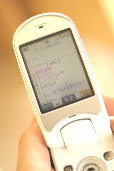 お知らせです。サイトをリニューアルしました \(^_^_e0025661_14333175.jpg