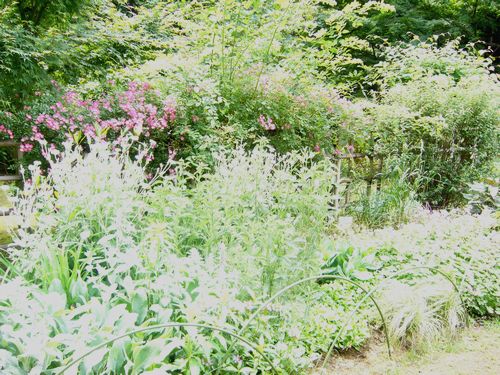 夏草とわらび餅。。。.゚。*・。♡_a0053662_22483336.jpg