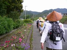 第1日目(6/10・前半）三原村センター～39番札所延光寺～宿毛市内～松尾峠(県境）～愛南町役場一本松支所_e0043591_23394361.jpg