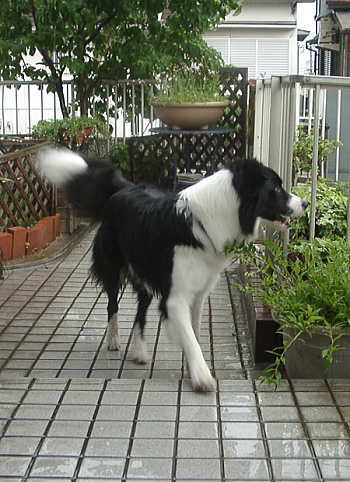 f0082396_76599.jpg