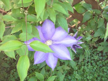 a0054504_18413696.jpg