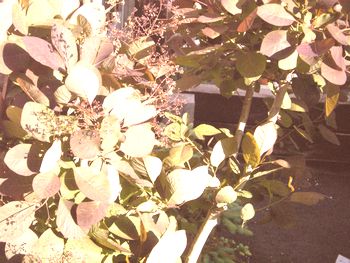 a0054504_18422776.jpg