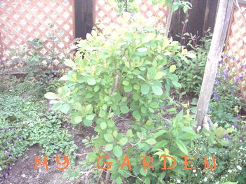 a0054504_18482342.jpg