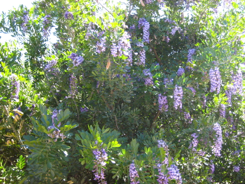 d0070316_18171817.jpg