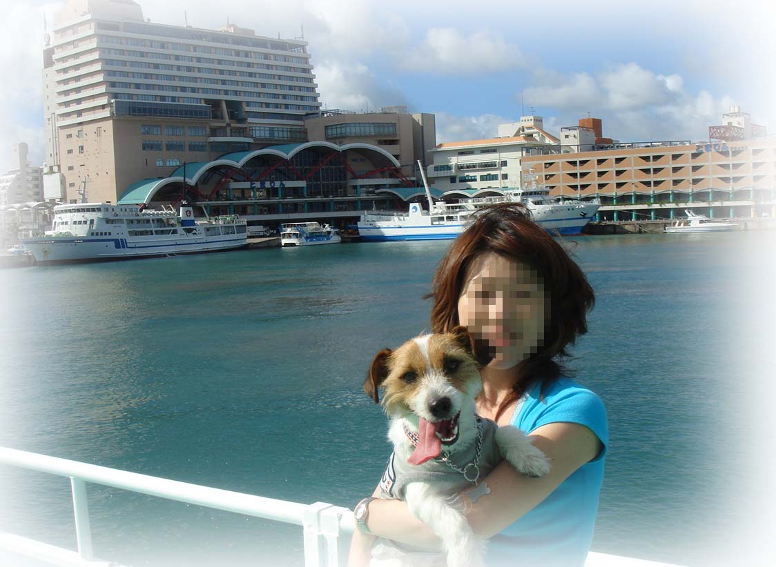 【犬連れ沖縄旅行２００６】　那覇から座間味へ　★２日目★　　　美ら海でうひょひょーい_f0070233_1929886.jpg