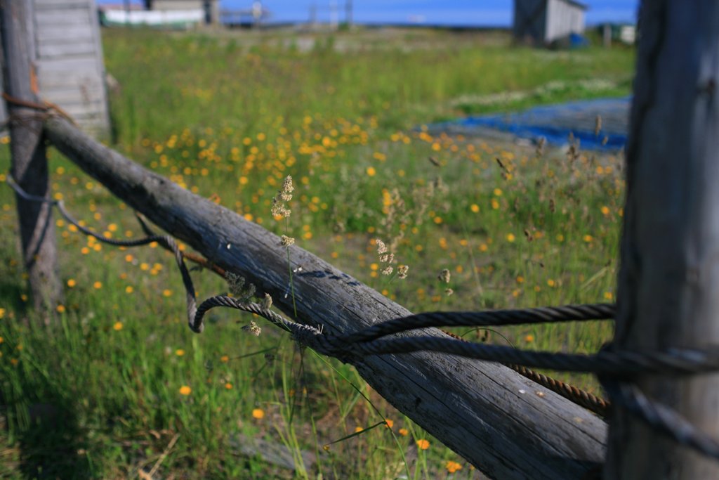 d0001745_0123681.jpg