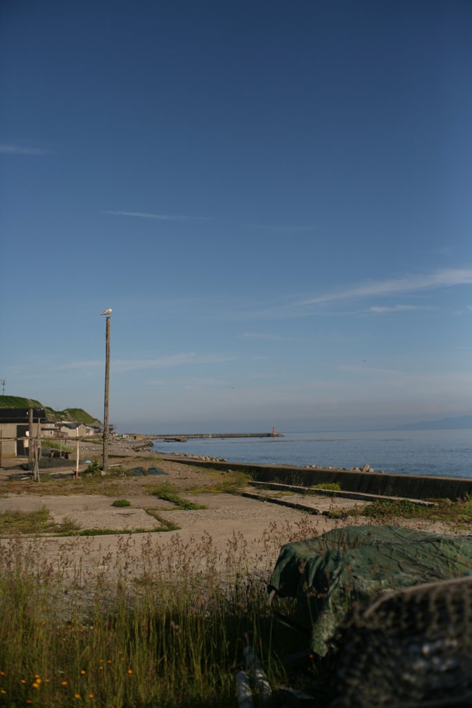 d0001745_23303655.jpg