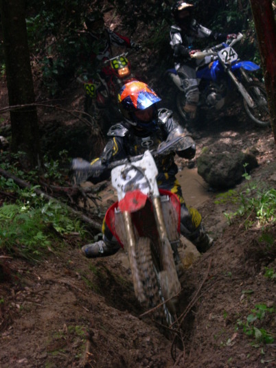a0045346_20391491.jpg