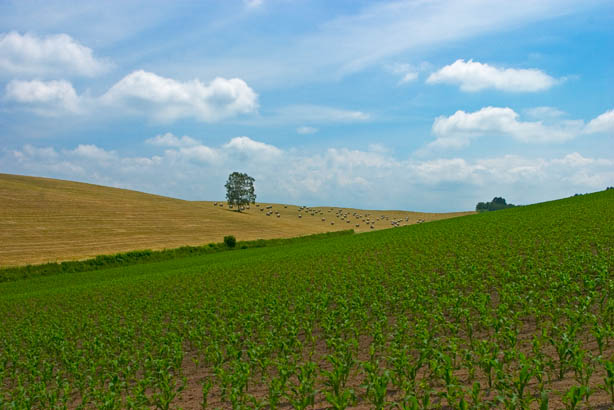 f0104847_2383776.jpg