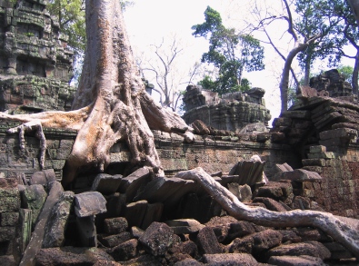 アンコール遺跡群　■タ・プローム　その１_b0025850_21221131.jpg