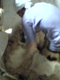 d0007957_22165853.jpg
