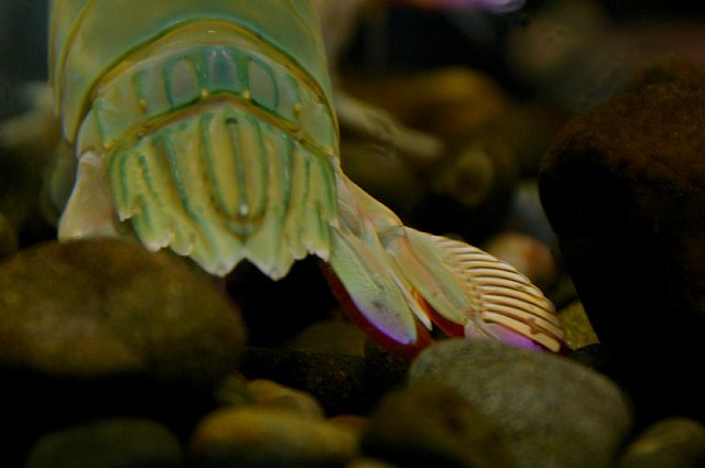 水族館へ行こう　２_a0056769_1593286.jpg