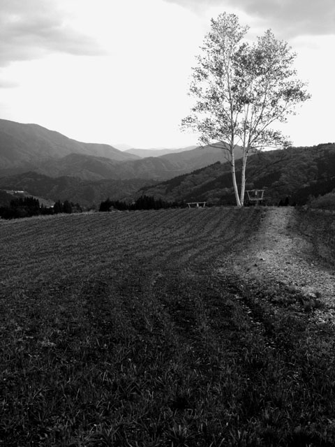 d0037282_9271496.jpg