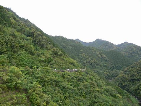 第1日目(6/10・前半）三原村センター～39番札所延光寺～宿毛市内～松尾峠(県境）～愛南町役場一本松支所_e0043591_22441995.jpg