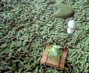b0007895_101253.jpg