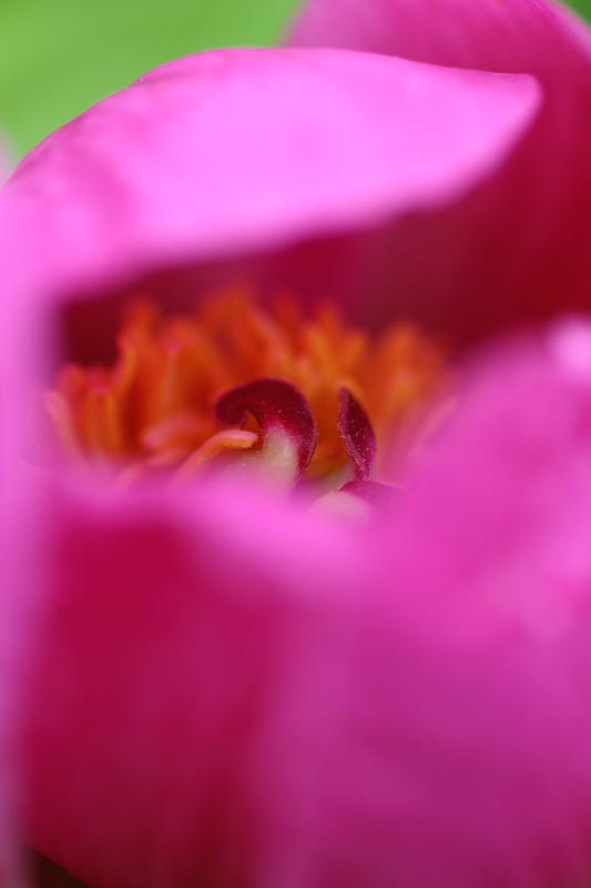 e0045106_21283246.jpg
