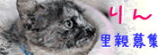 c0015610_14451984.gif