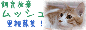 c0015610_1447724.gif