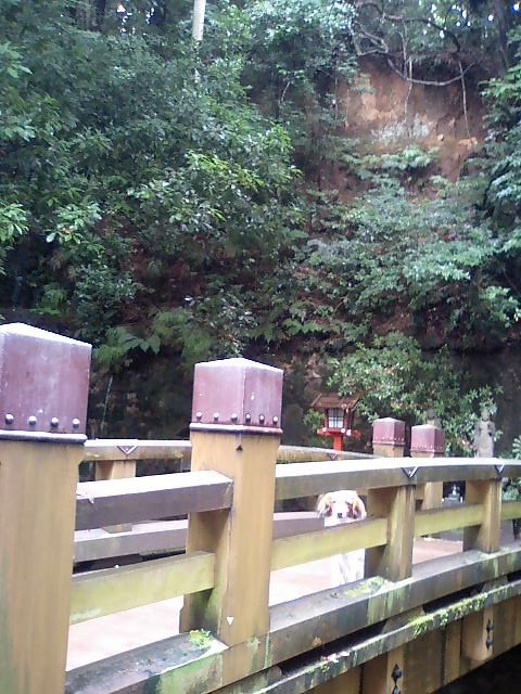 あづぅ…_c0065512_2225499.jpg