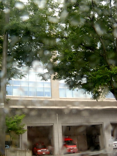c0003723_20274616.jpg