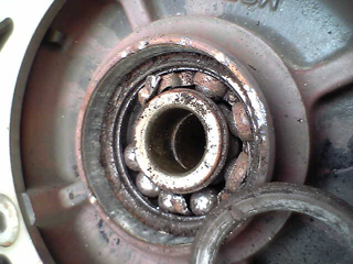 a0064424_12124621.jpg
