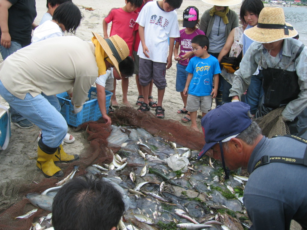 夏の陣　地引き網！_f0015838_11221349.jpg