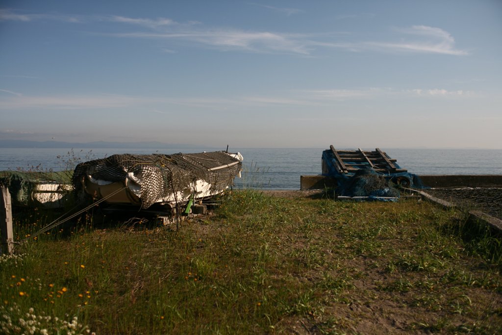 d0001745_1255264.jpg