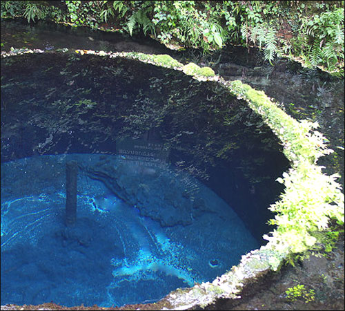 名水百選、柿田川湧水群_b0040868_19594757.jpg