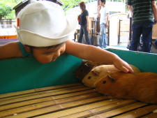 動物園　Ⅱ_b0054983_2224991.jpg