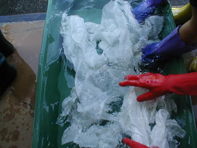 e0014991_10132195.jpg