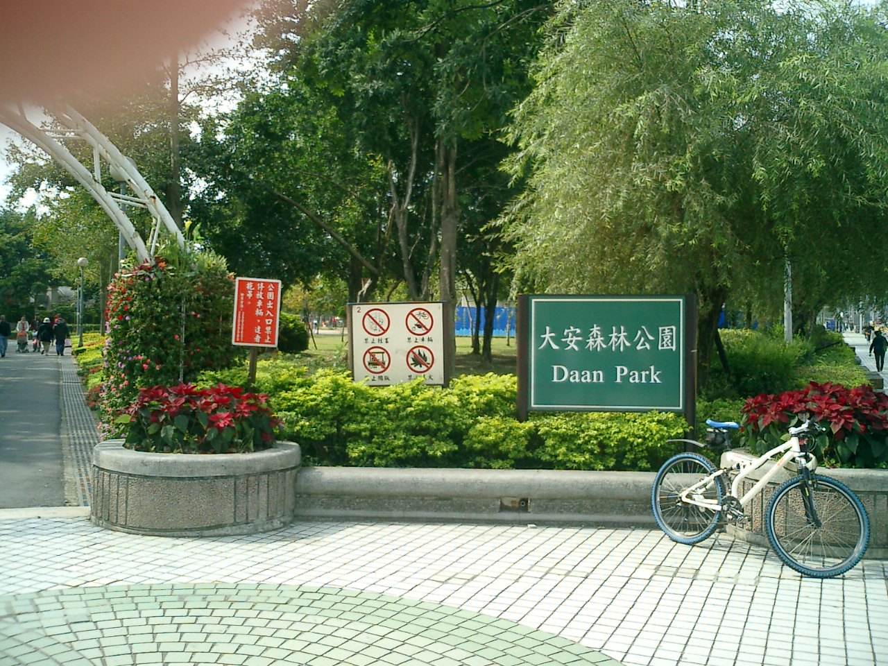 麗しの島　台湾旅行記その41_e0021092_1235846.jpg