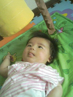 f0087001_1356943.jpg