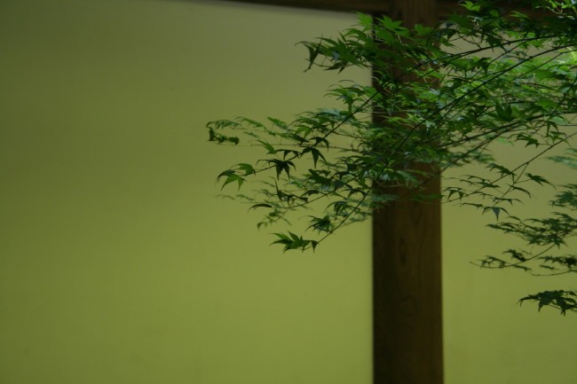 f0017530_14535675.jpg