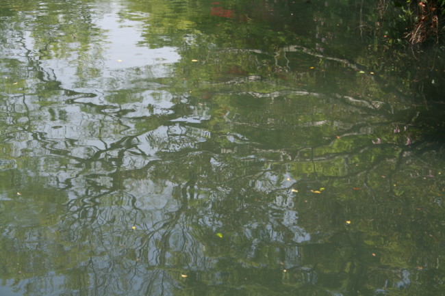 f0017530_1515234.jpg