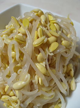 豆もやしのナムル ハナの娘に伝えたいレシピ 豆もやしのナムル ハナの娘に伝えたいレシピ
