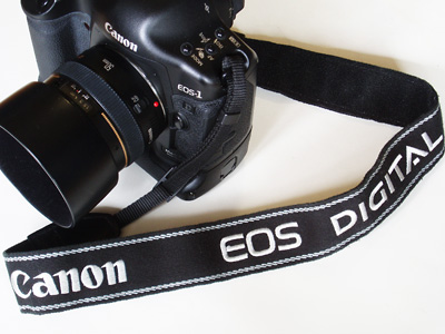 PROFESSIONAL VERSION : FujiiTomohiro Photography Diary PROFESSIONAL VERSION : FujiiTomohiro Photography Diary