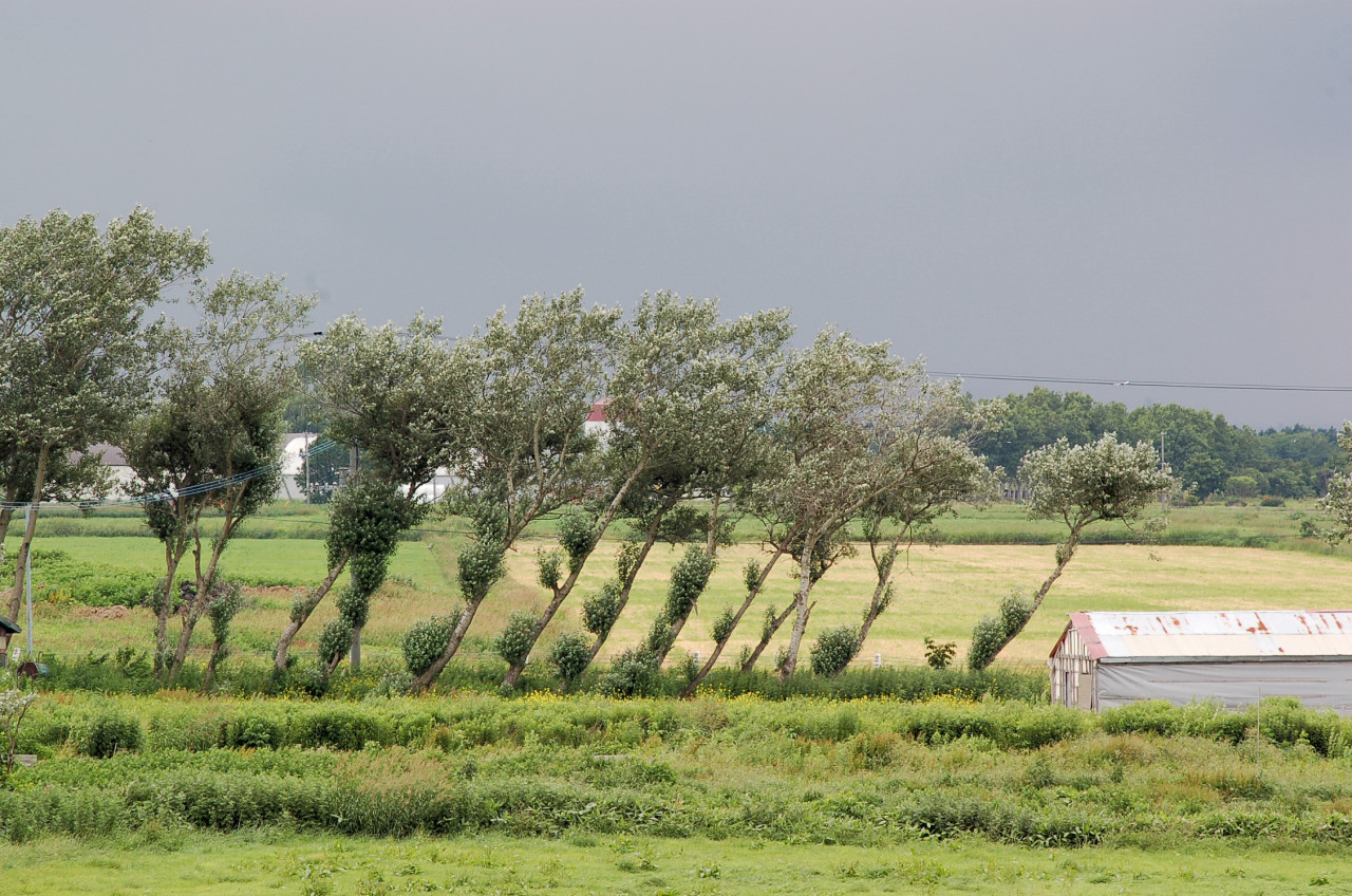 a0062697_22359.jpg